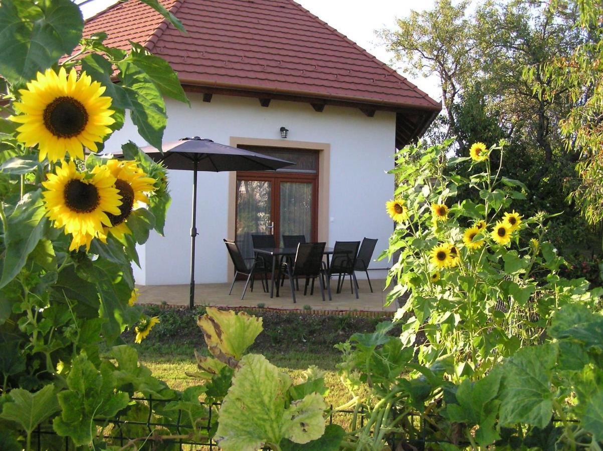 Egrelato Vendeghaz Lägenhet Balatonakali Exteriör bild